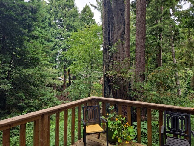 Foto del edificio - Pet Friendly! Redwood views! 3-bedroom hom...