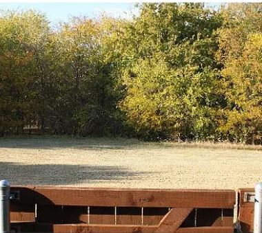 Cinturón verde detrás de la casa - 3217 Judge Holland Ln