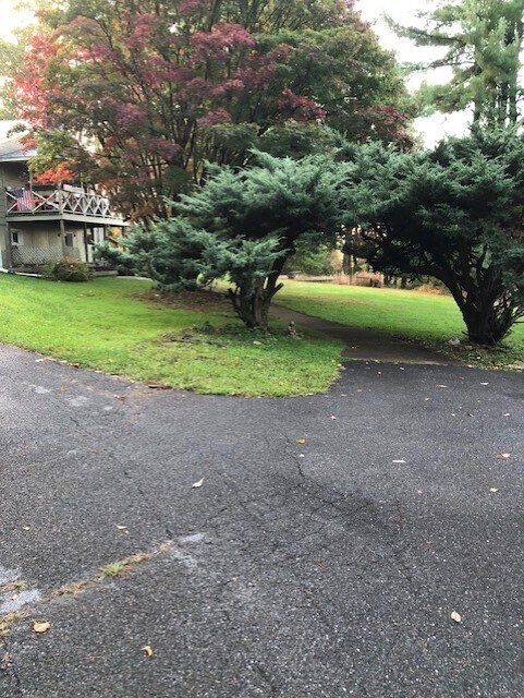 Parking looking at walkway - 4 Golden Rod Dr