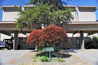 Building Photo - 3 bedroom in Seattle WA 98102