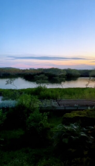 vista del atardecer desde la terraza - 1510 Pelican Point Dr