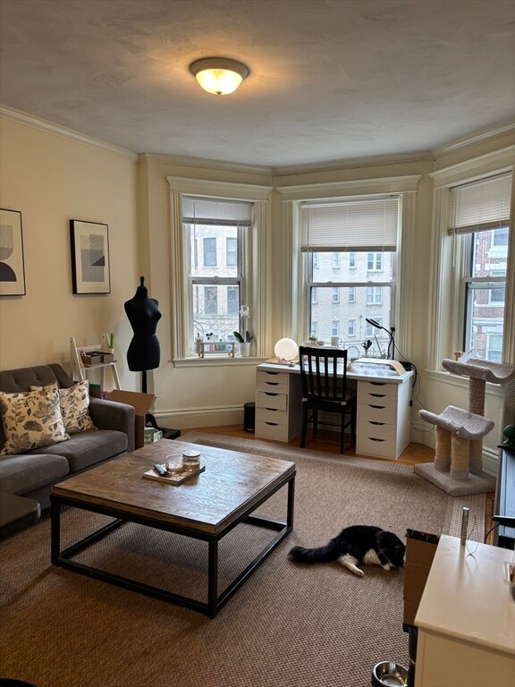 Foto del edificio - 15 Queensberry St