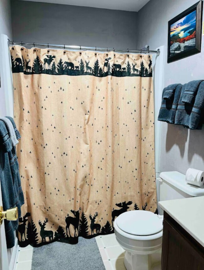Baño - 301 Pinnacle Inn Rd