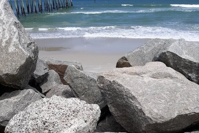 Foto del edificio - 1615 Carolina Beach Ave N