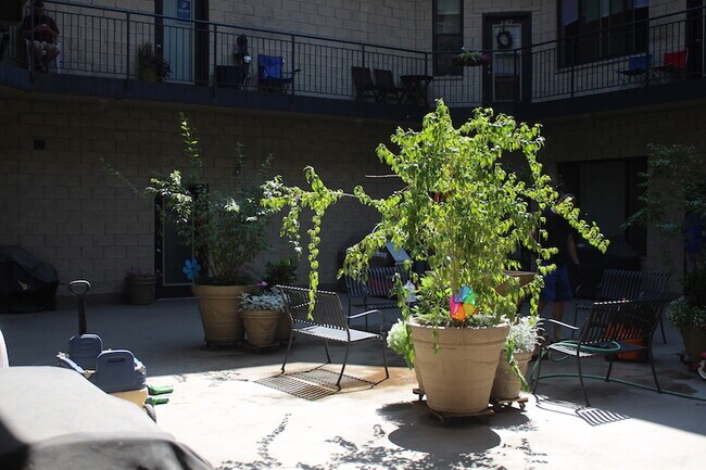 Shared courtyard space - 4751 N Artesian