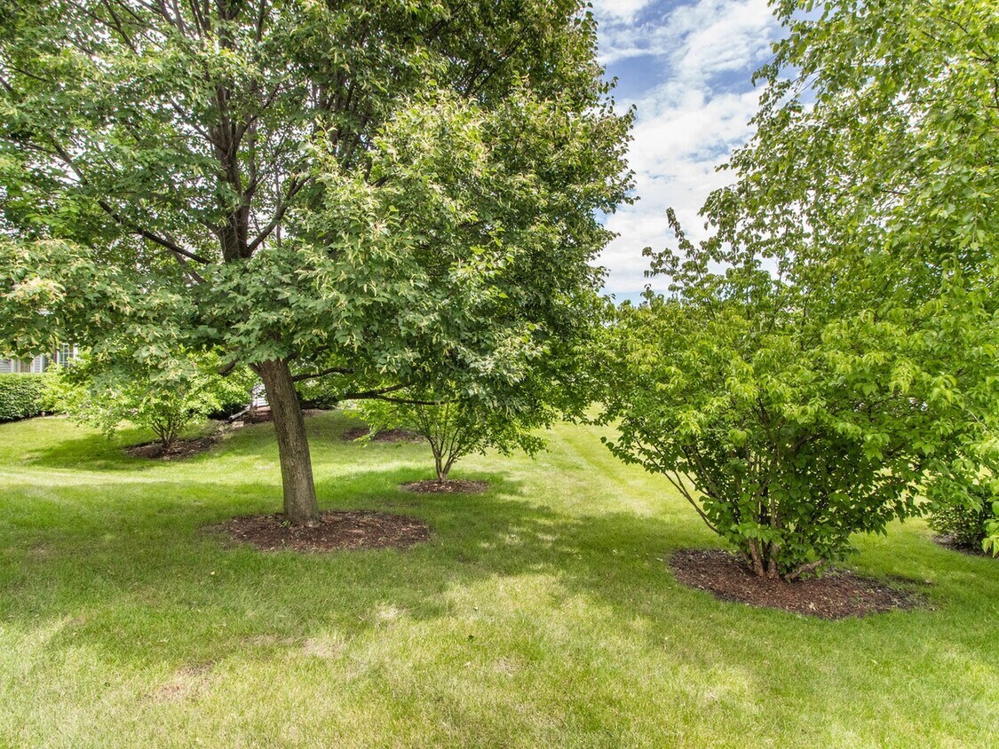 Primary Photo - 3023 Anton Dr