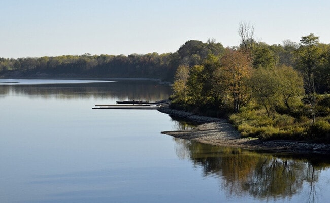 The Fanshawe Lake shoreline in autumn