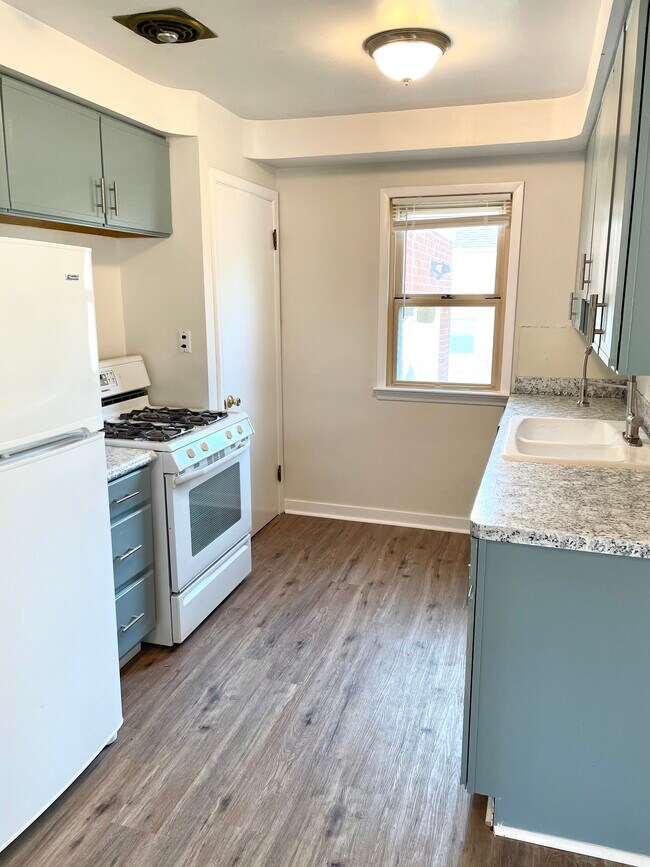 Brand new waterproof LVT (Luxury Vinyl Tile) kitchen floors. - 4984 S Sedgewick Rd