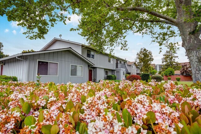 Foto del edificio - Sunnyvale Meadows Condo