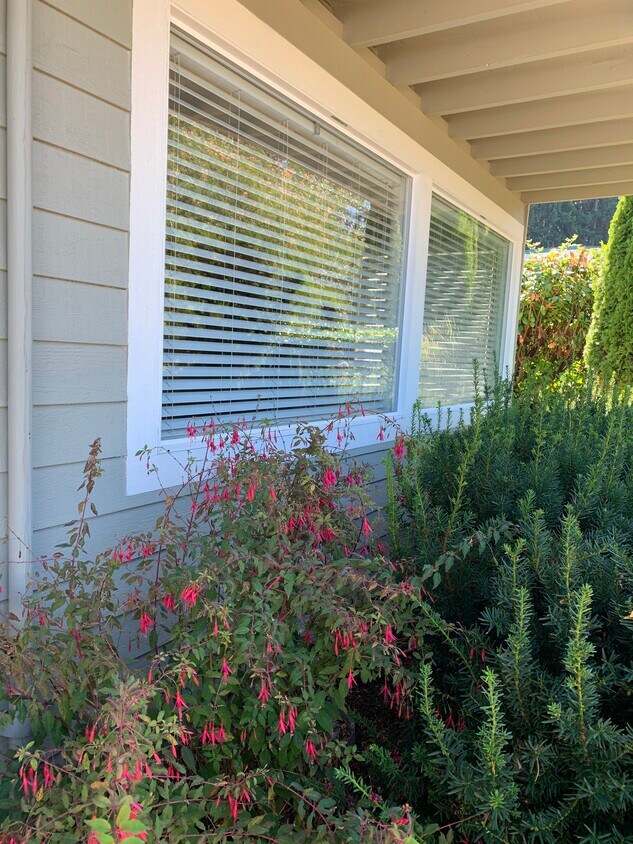 Insulated windows - 615 Galloway St