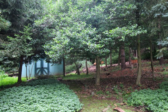 Building Photo - 341 Jefferson Avenue