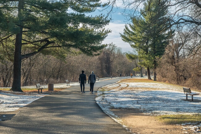 Saddle River County Park's trails come alive with people enjoying walks.