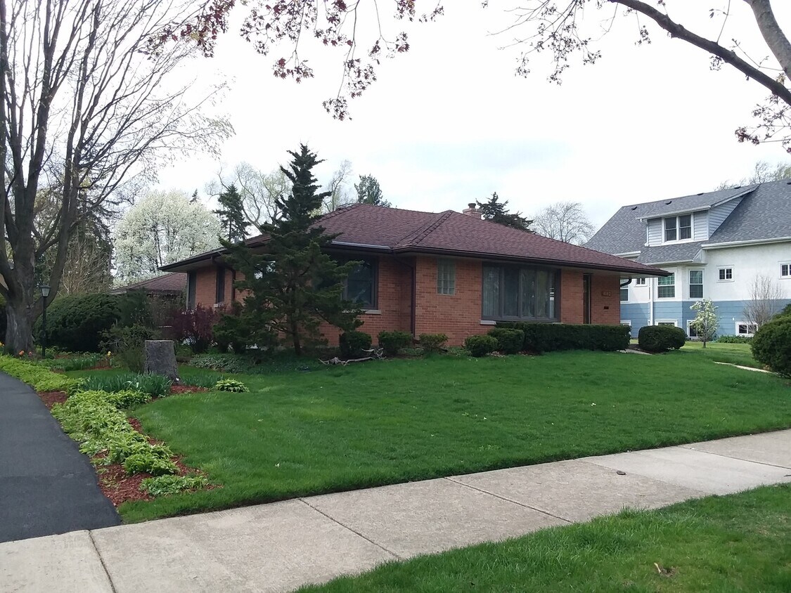 442 N Evergreen Ave, Elmhurst, IL 60126 House for Rent in Elmhurst