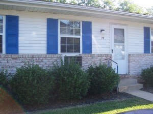 ¡Blue Pinese Apartaments - Blue Pines Apartments