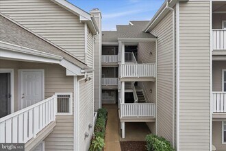 Building Photo - 14322 Climbing Rose Way