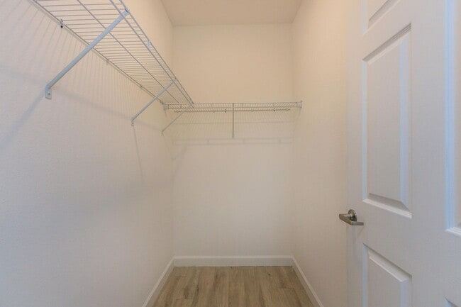 Interior Photo - Nottinghill Davenport