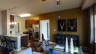 This single-floor space presents an open-concept design that integrates the kitchen and living area into one cohesive, functional environment. The kitchen is outfitted with rich, warm-toned cabinetry, stainless steel appliances including a refrigerator, microwave, and gas range, complemented by dark countertops that add a refined contrast. A ceiling fan overhead enhances comfort throughout the shared space.

The living area makes a strong design statement with deep olive-gold accent walls that create a warm, enveloping ambiance. A standout pair of large framed art pieces featuring antler motifs anchors the main wall, lending the space a bold, eclectic character. A sleek, metal-framed display cabinet below the artwork holds curated decorative objects, adding layers of visual interest.

Seating is arranged around a glass-topped coffee table, with leather-accented chairs providing an elegant yet relaxed atmosphere. Dark hardwood flooring runs throughout, grounding the space with a sense of warmth and continuity. A decorative area rug beneath the seating arrangement adds texture and definition to the living zone. A doorway visible from the main area suggests additional rooms beyond, completing a well-appointed and thoughtfully designed single-level layout.