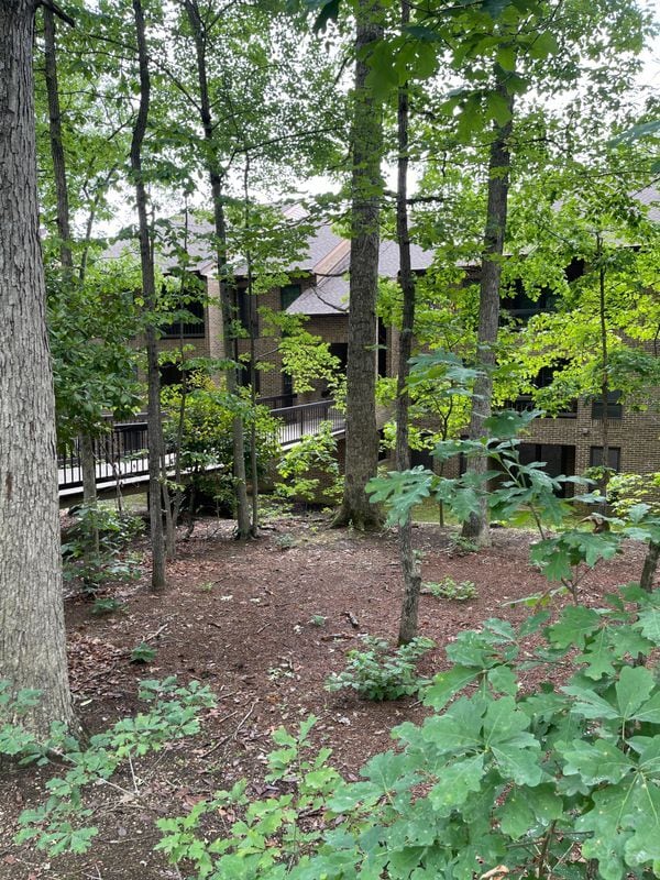 Foto principal - 44755 Woodlake Ct