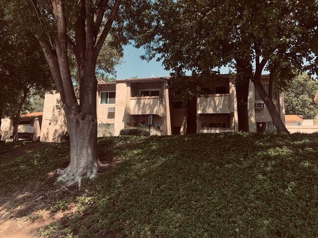 Building Photo - 5800 Kanan Rd
