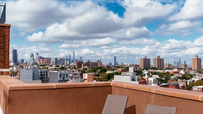 Rooftop Access - 1371 E 85th St