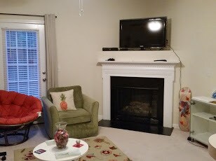 Living room - 3026 Courtney Creek Boulevard