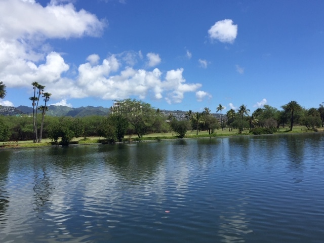 Building Photo - 2415 Ala Wai Blvd