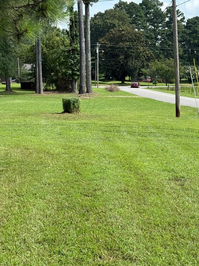 Big Yard - 22235 Hood St