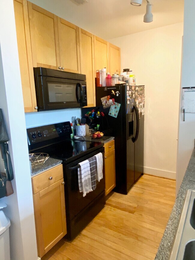 Kitchen area - 115 E Park Ave