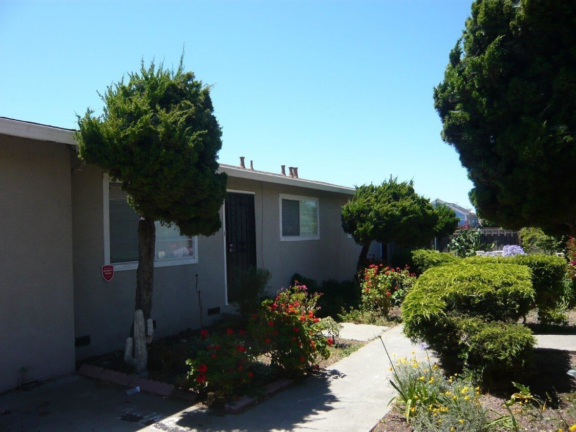 Primary Photo - 37152 Walnut St
