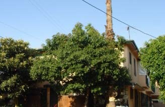 Foto del edificio - 1066 N St Andrews Pl