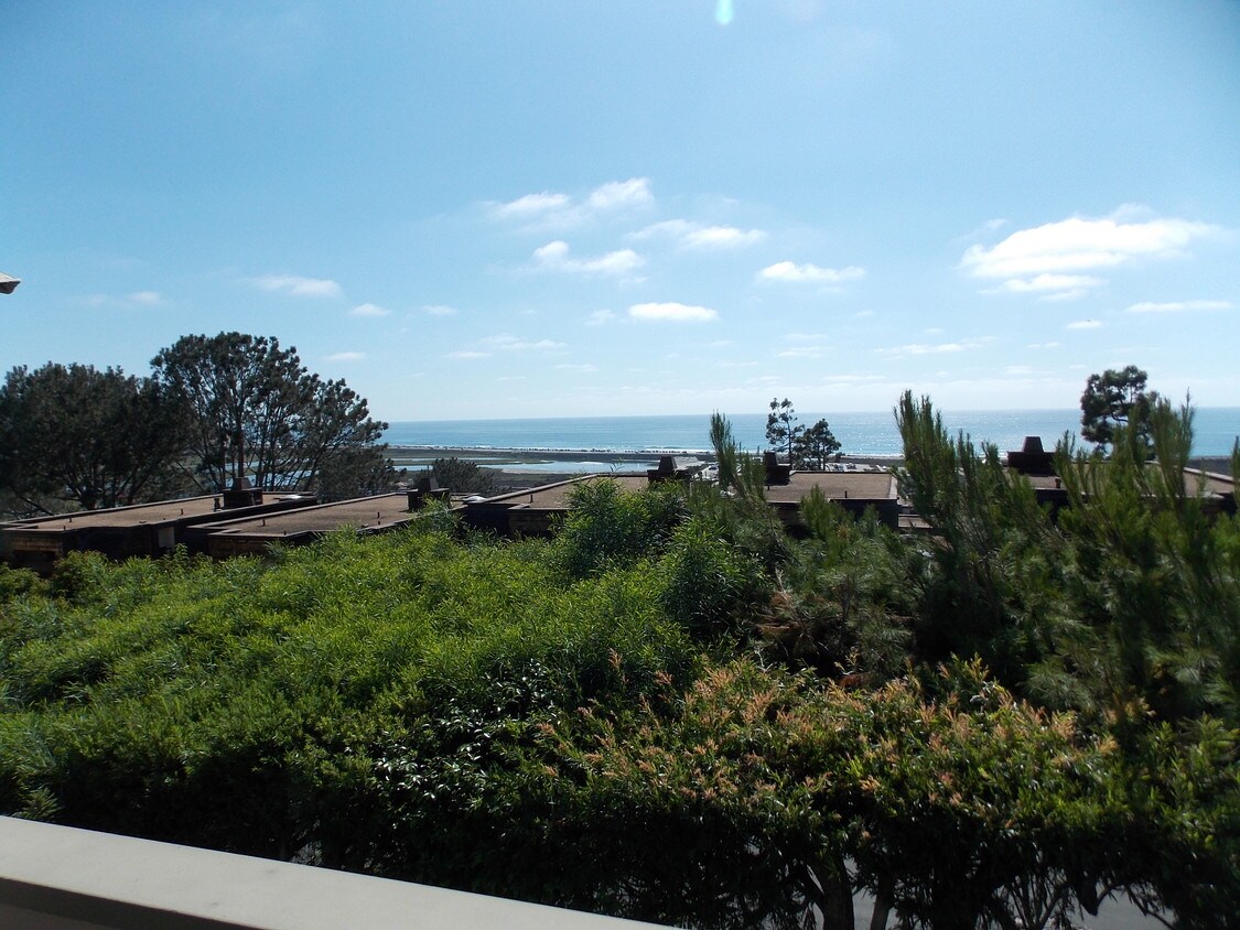 53 Apartments Available for Rent in Del Mar, CA