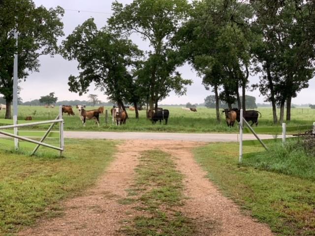 Foto del edificio - 309 Stolle Ln