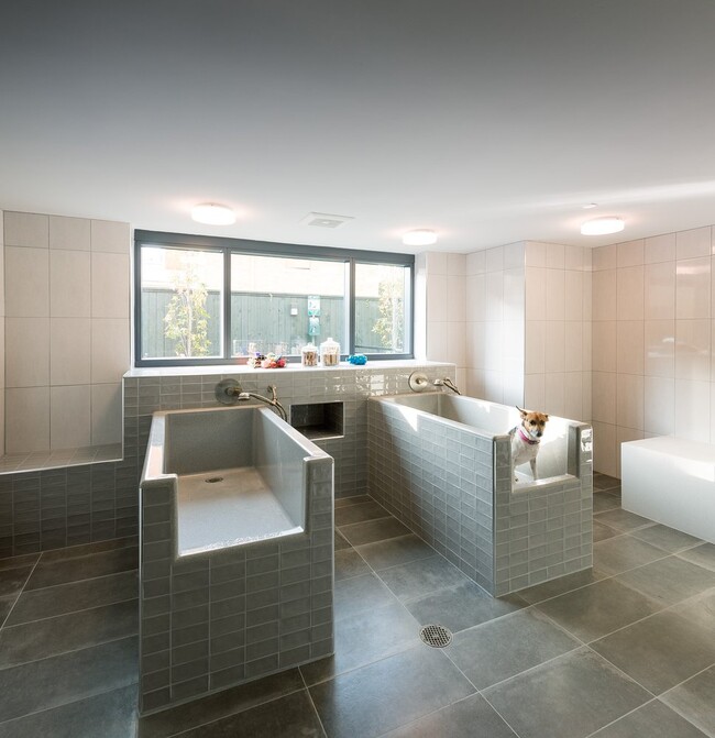 Building Photo - Bright One Bedroom Apartment: Sunlit City ...