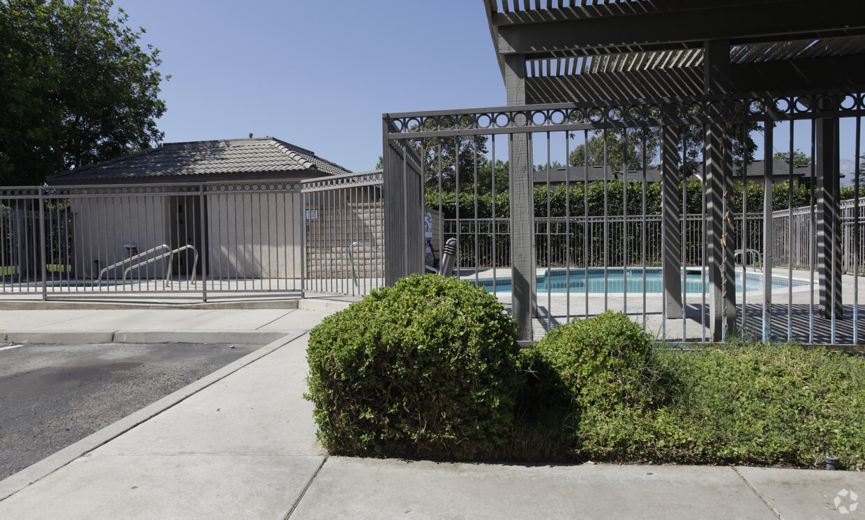 Pool - Mandevilla Apartments