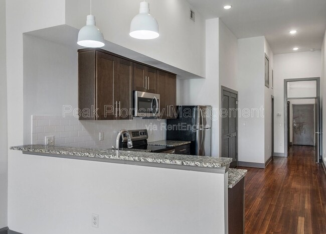 Interior Photo - 1209 Hull Street- Dogtown