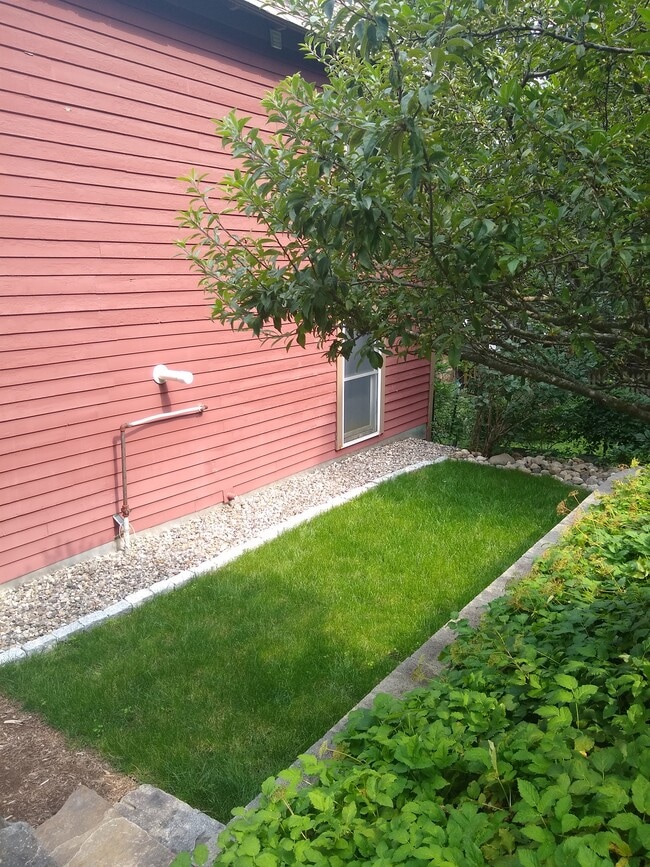 Small backyard great for dog owners, or great for a hammock. High Rock Park across St - farmers mkt! - 156 Henry St