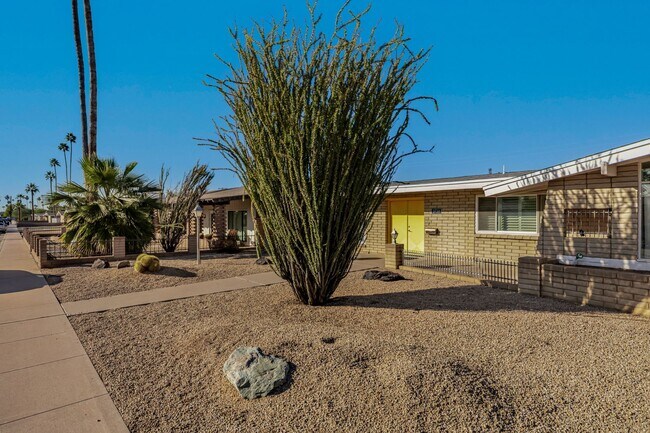 Building Photo - New Listing in Phoenix