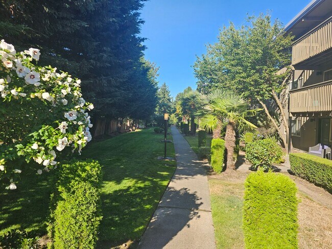 Building Photo - 2 Bed Condo by Tacoma General Hospital!