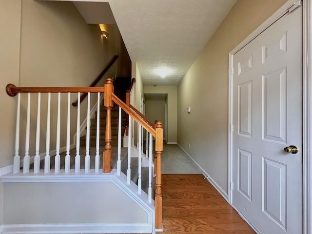 Foto del edificio - 3531 Lantern View Ln