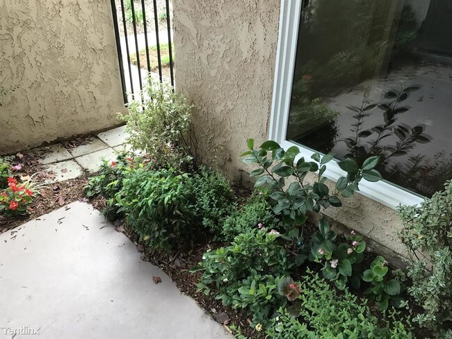 Building Photo - 2 br, 1.5 bath Townhome - 3719 Summershore Ln