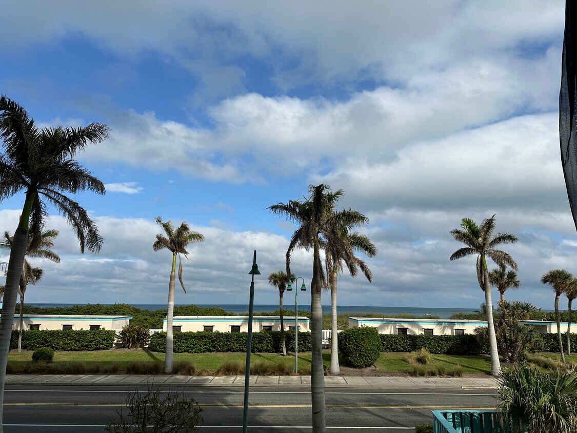 Palm trees in your backyard - 355 S Ocean Dr