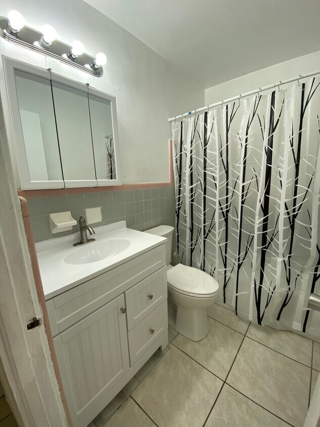 New Vanity and Toilet - 1119 5th St SW