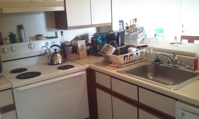 Building Photo - 4 Bed 2 Bath Condo Available Summer 2026