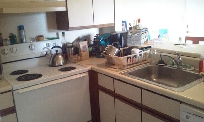 Foto del edificio - 4 Bed 2 Bath Condo Available Summer 2026