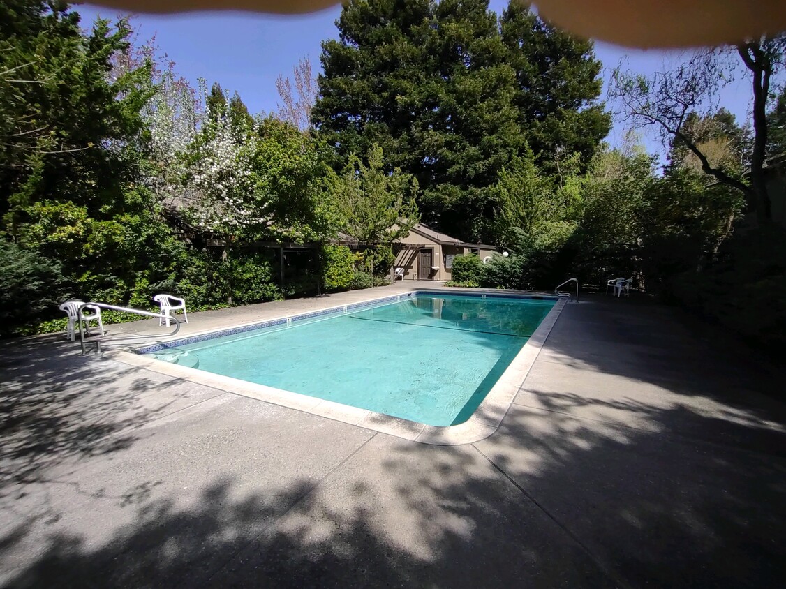 Pool - 2 Arbor Ct