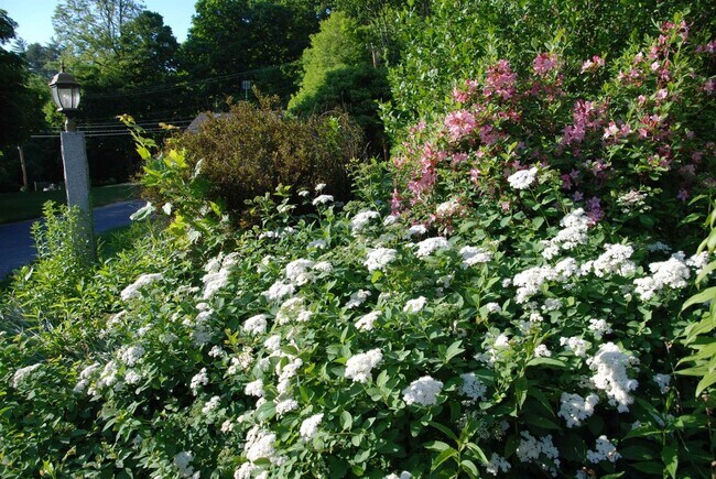 Foto del edificio - 285 East Side