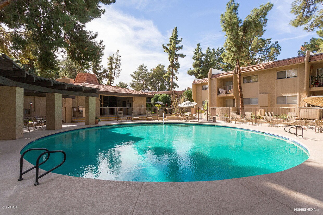 7436 E Chaparral Rd Unit 204B, Scottsdale, AZ 85250 Room for Rent in Scottsdale, AZ