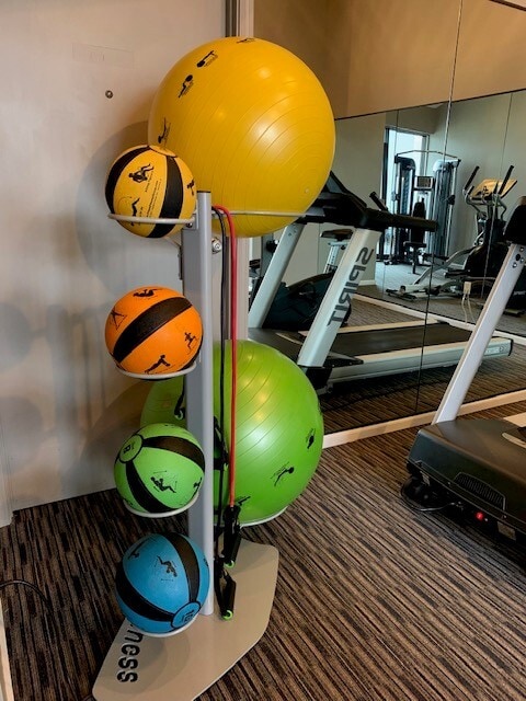 Gimnasio con accesorios - Wood Creek Apartments