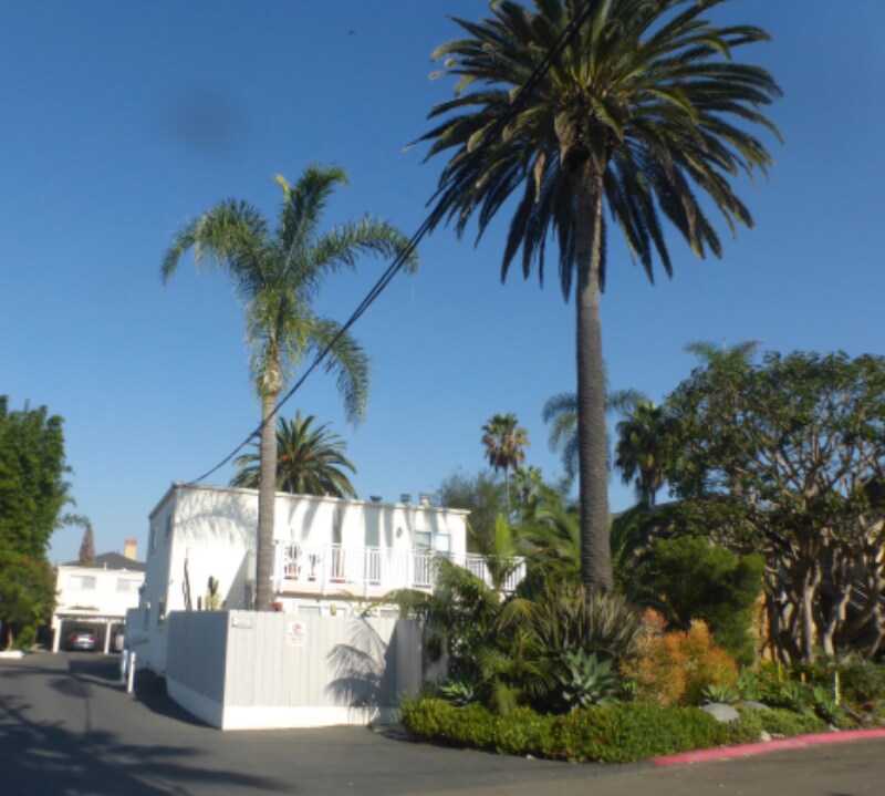 Foto principal - 350 Chestnut Ave