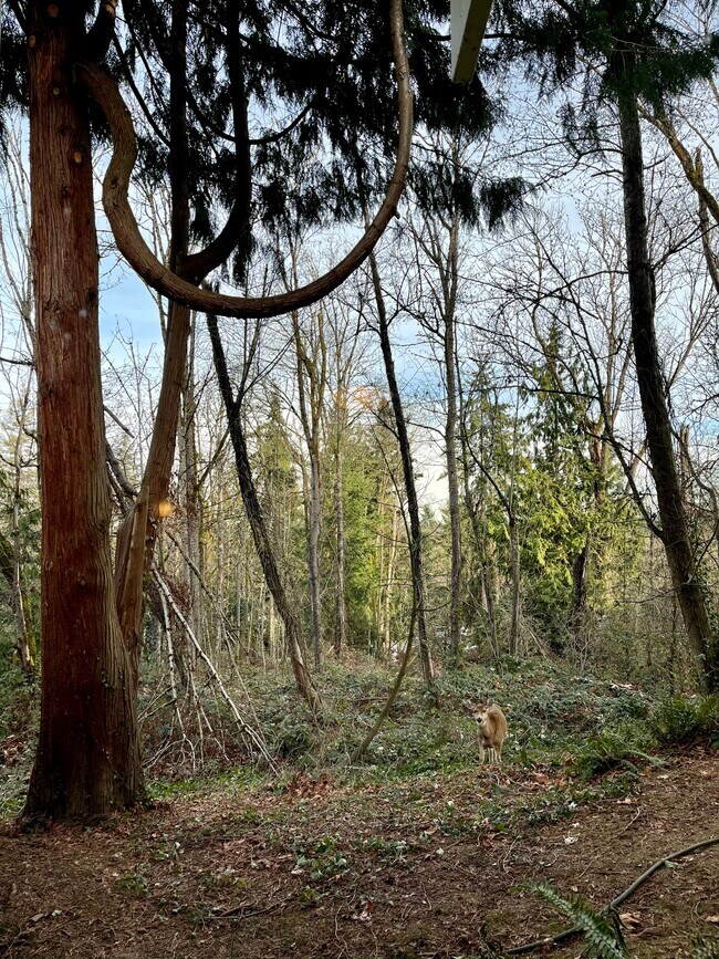 Foto del edificio - 3950 96th Ave SE